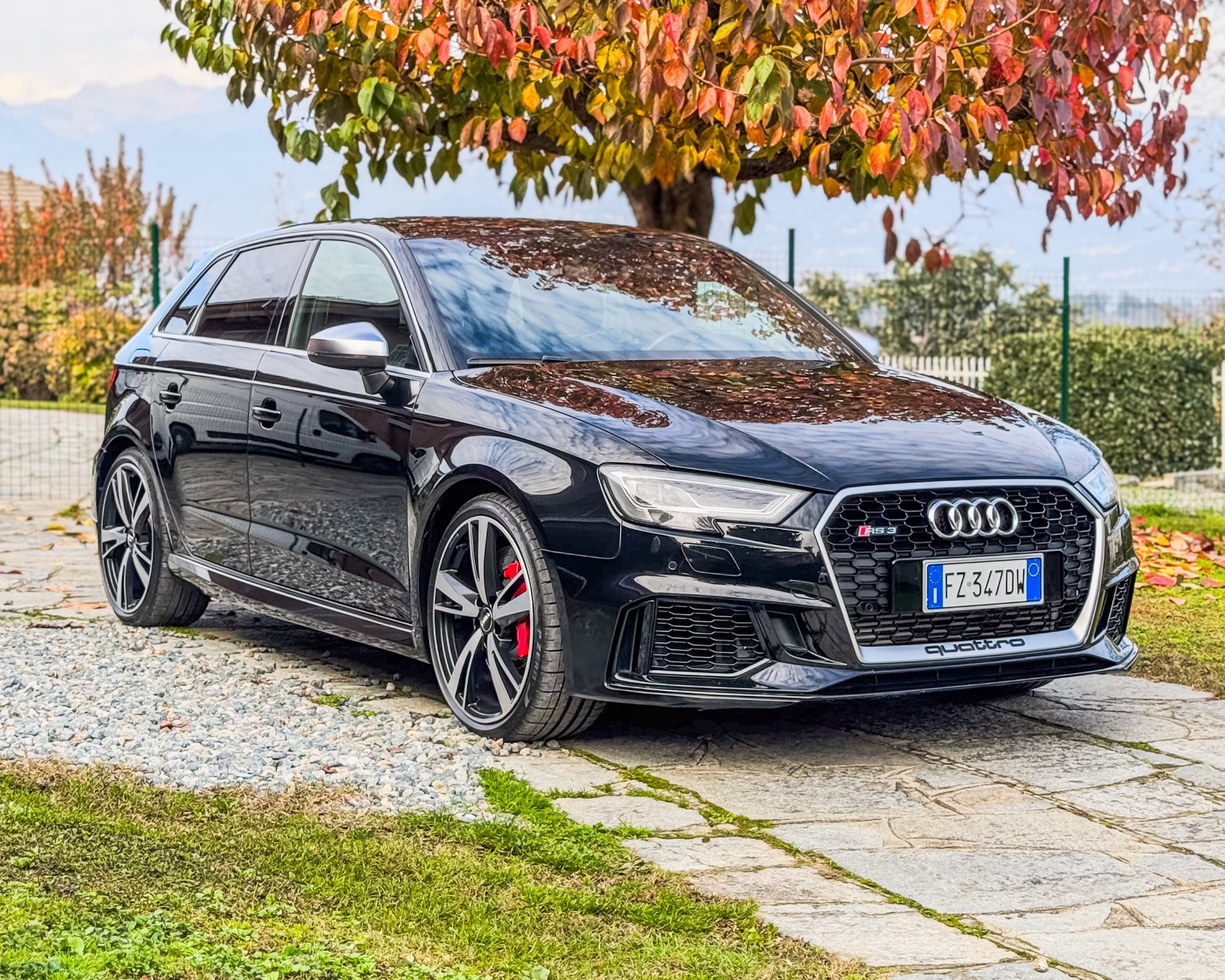 Audi RS3 8V