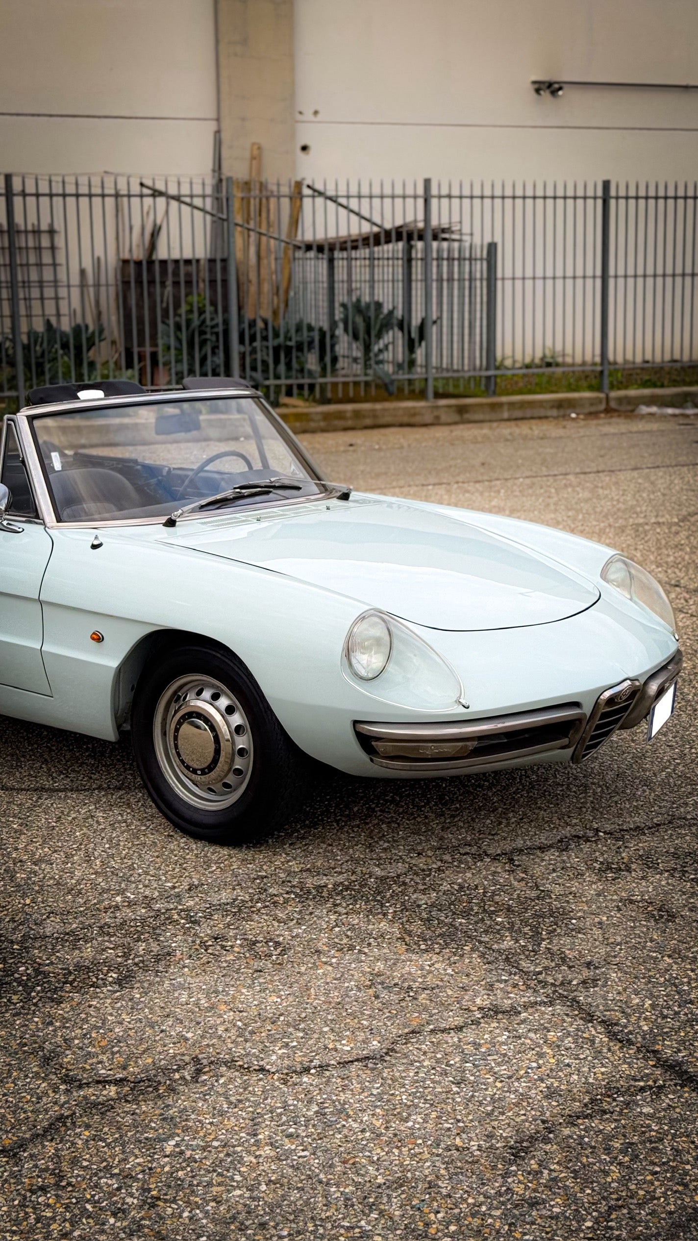 Alfa Romeo Duetto