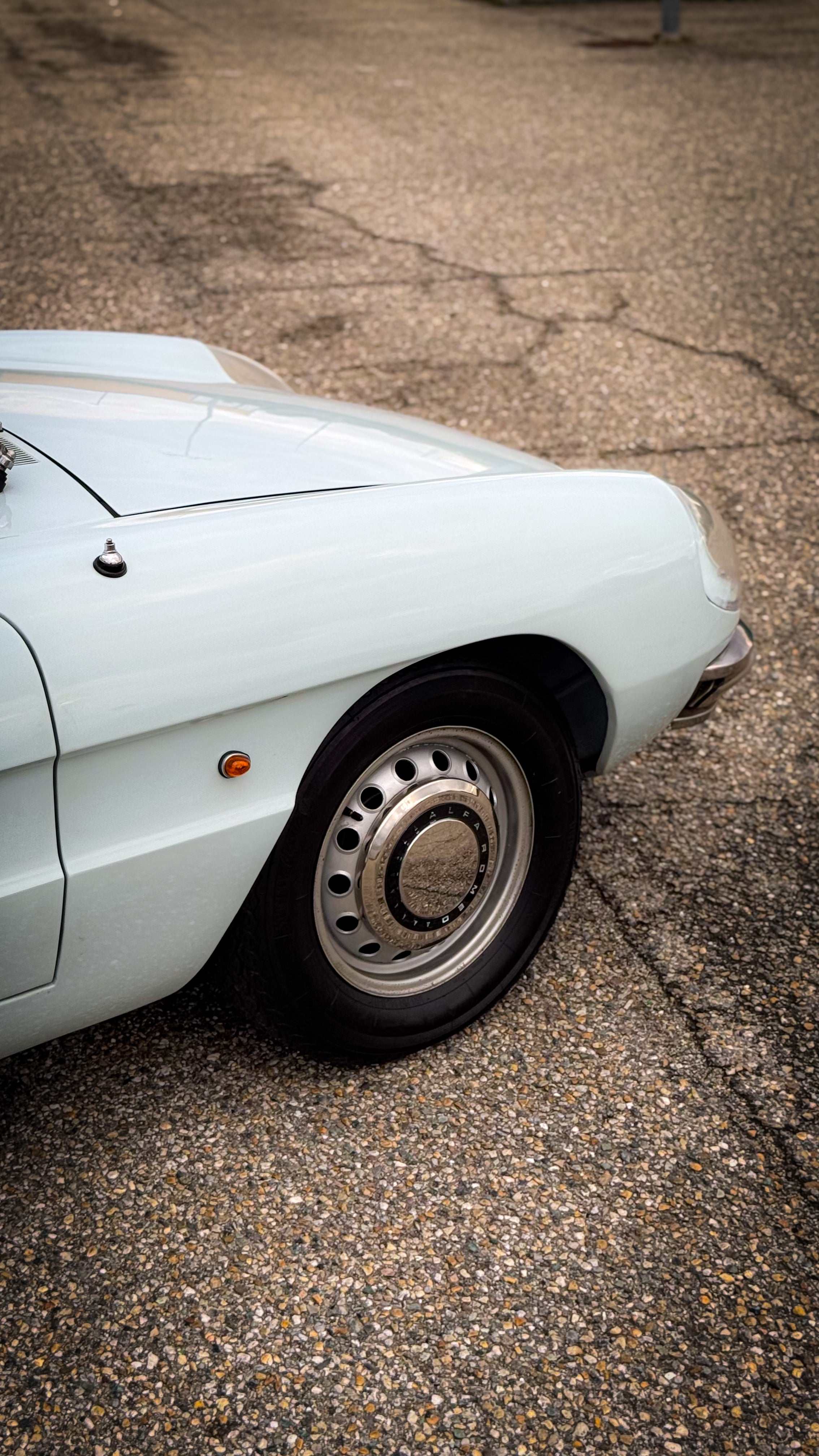 Alfa Romeo Duetto