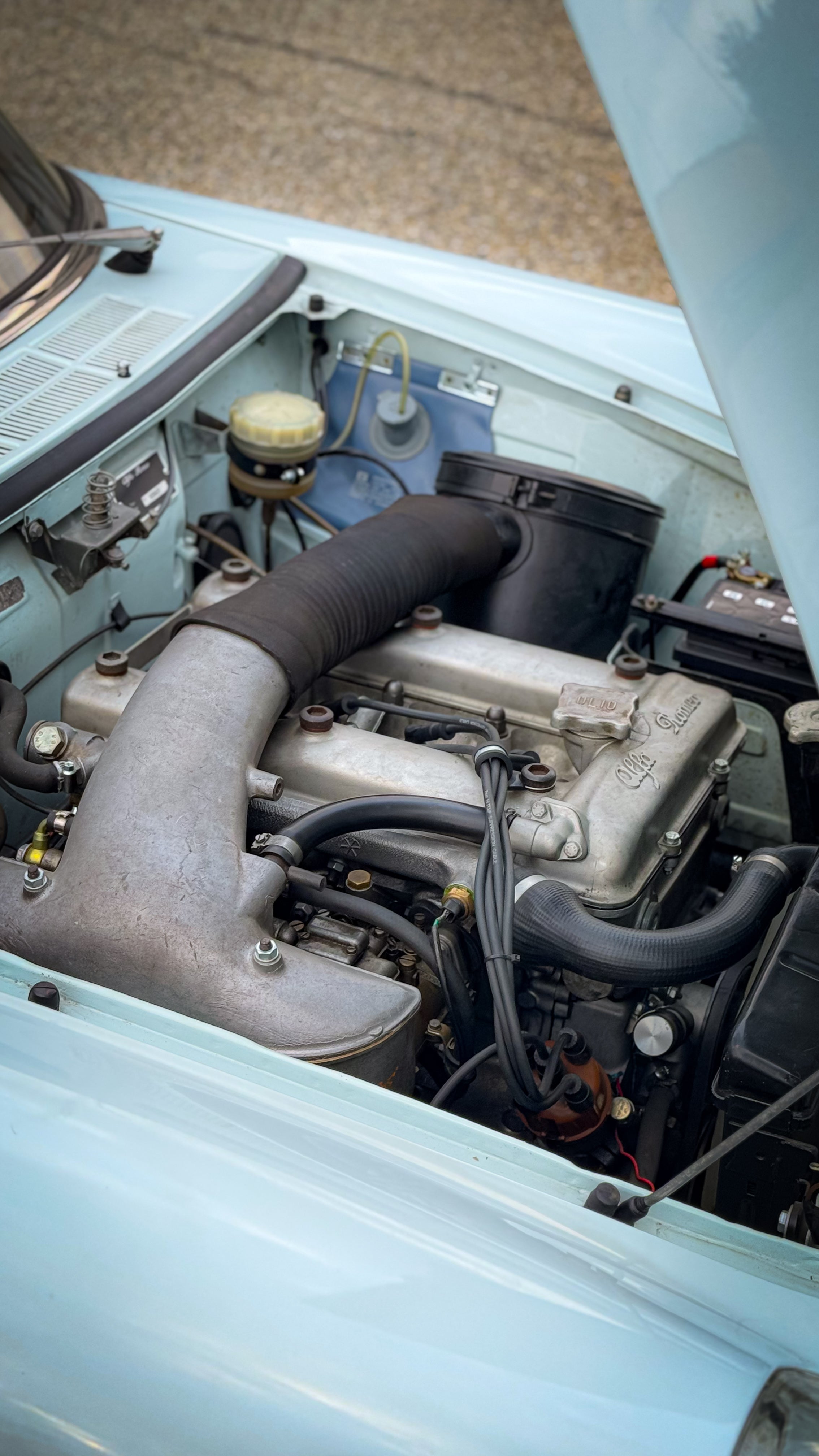Alfa Romeo Duetto
